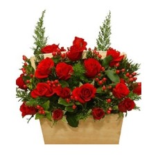 Arranged Beauty (Basic)